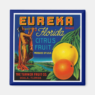 Eureka Florida Citrus Magnet