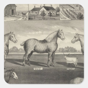 Eureka Stock Farm, Scottsville, Kansas Square Sticker
