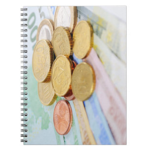 Euro note notebook