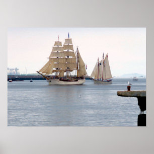 Europa and American Eagle Poster
