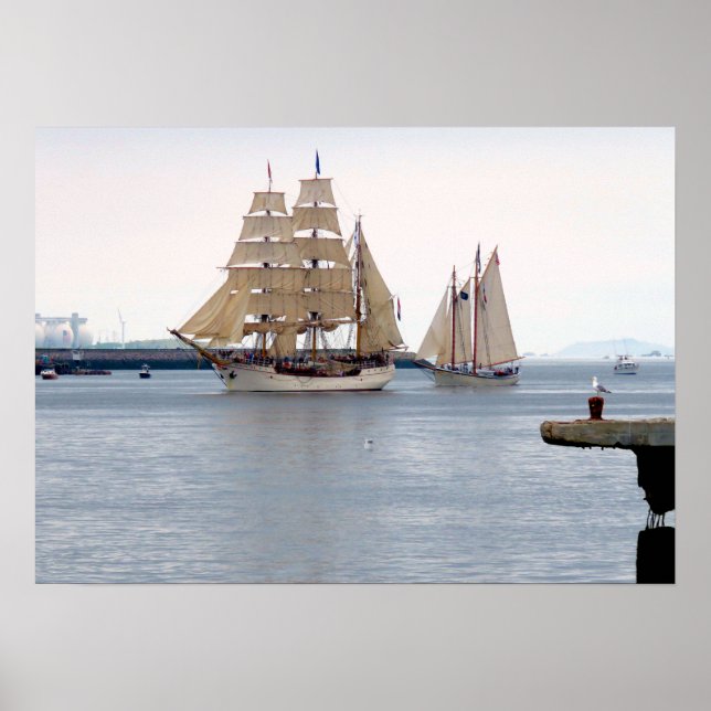 Europa and American Eagle Poster (Front)