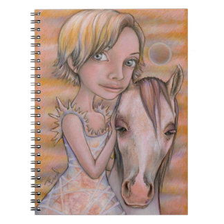 Europa and Snowflake Notebook