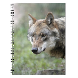 Europäischer Wolf Notebook