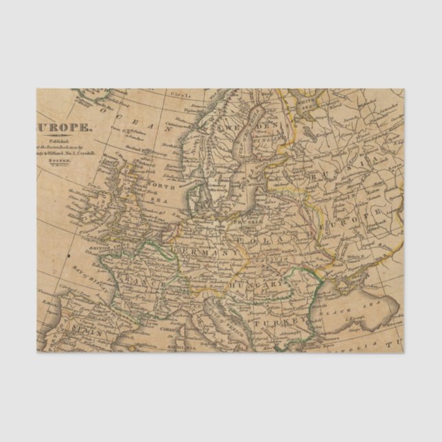 Europe 22 tissue paper (Front)