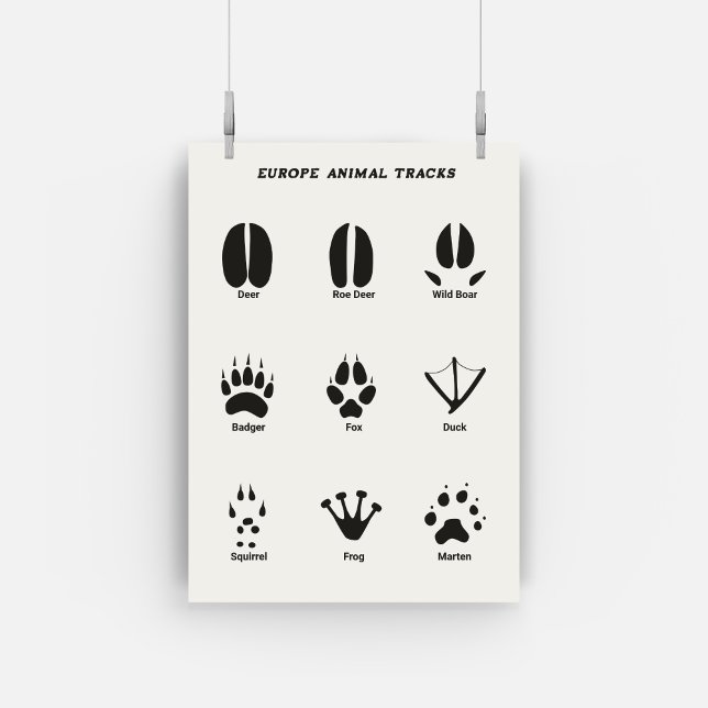 Europe Animal Tracks Set Poster (Creator Uploaded)