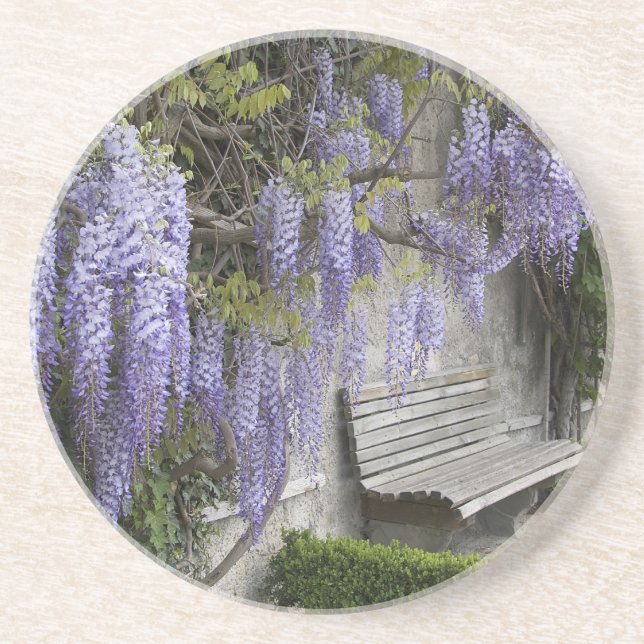 Europe, Austria, Salzburg Stadt, Salzburg, Coaster (Front)