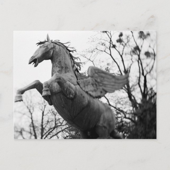 Europe, Austria, Salzburg. Winged horse statue, Postcard (Front)