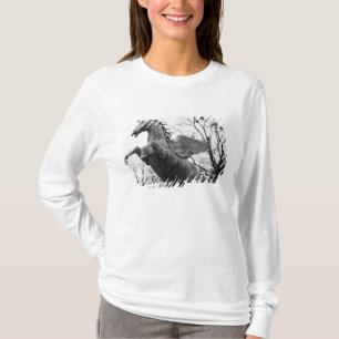 Europe, Austria, Salzburg. Winged horse statue, T-Shirt