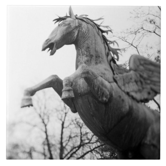 Europe, Austria, Salzburg. Winged horse statue, Tile (Front)