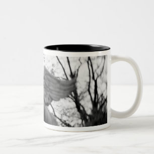 Europe, Austria, Salzburg. Winged horse statue, Two-Tone Coffee Mug