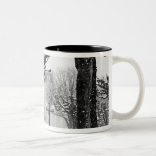 Europe, Austria, Salzburg. Winter, Two-Tone Coffee Mug