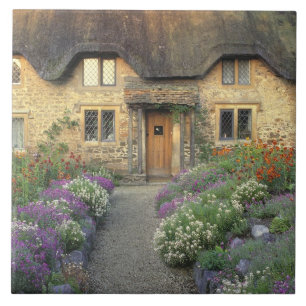 Europe, England, Chippenham. Early morning light Tile