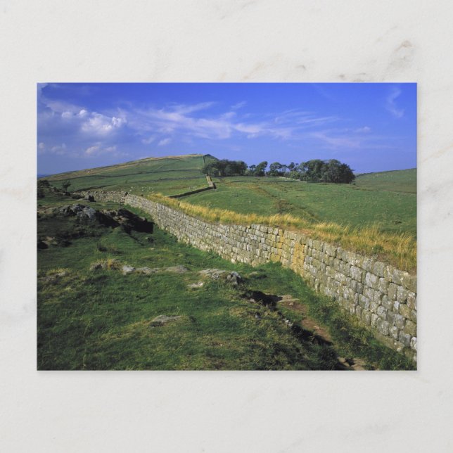Europe, England, Hadrian's Wall. The stones of Postcard (Front)