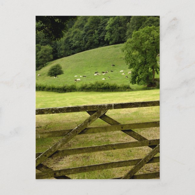 Europe, England, Lake District, Cumbria, Postcard (Front)