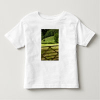 Europe, England, Lake District, Cumbria,