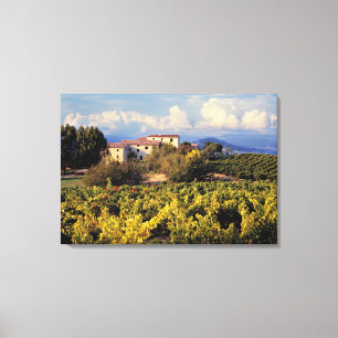 Europe, France, Bonnieux. Vineyards cover the Canvas Print