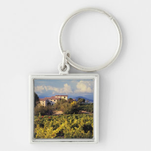 Europe, France, Bonnieux. Vineyards cover the Key Ring