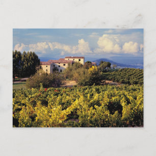 Europe, France, Bonnieux. Vineyards cover the Postcard