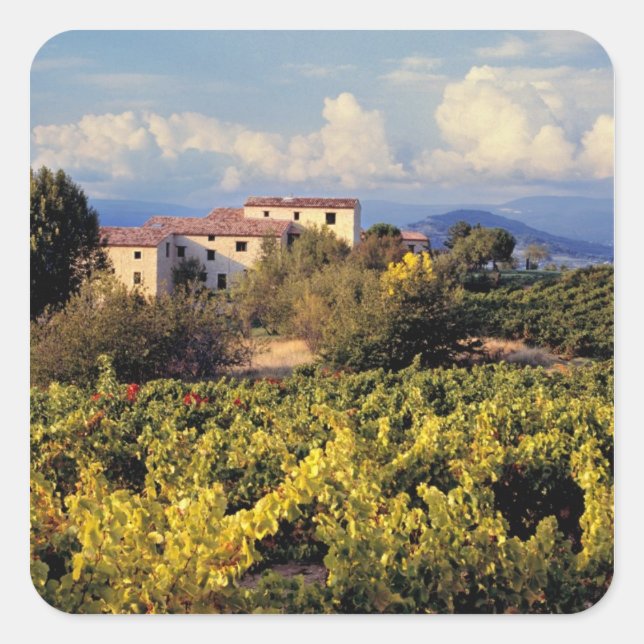 Europe, France, Bonnieux. Vineyards cover the Square Sticker (Front)