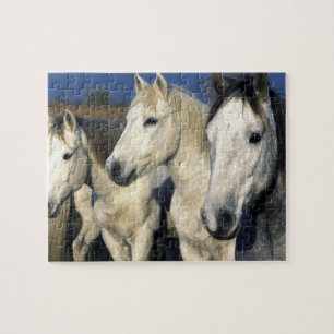 Europe, France, Ile del la Camargue. Camargue 3 Jigsaw Puzzle