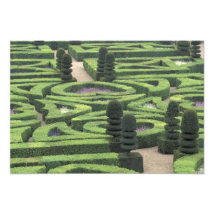 Europe, France, Indre, et, Loire; Loire Photo Print