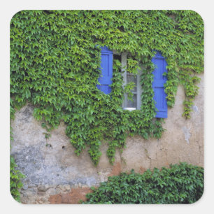 Europe, France, Lourmarin. Cascading ivy Square Sticker