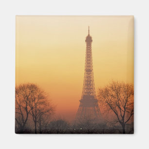 Europe, France, Paris. Eiffel Tower (Medium Magnet