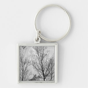 Europe, France, Paris. Statue and Ferris Wheel, Key Ring