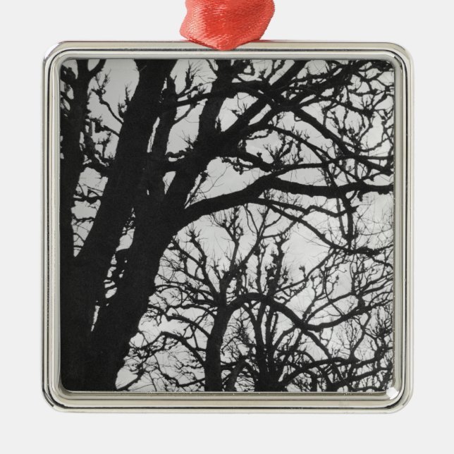 Europe, France, Paris. Winter trees, Marco Metal Tree Decoration (Front)