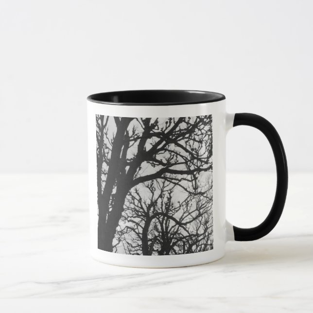 Europe, France, Paris. Winter trees, Marco Mug (Right)
