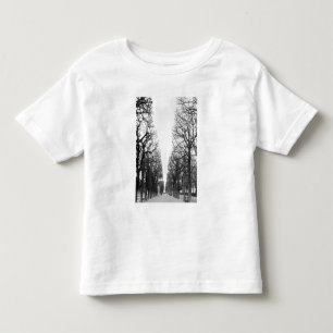 Europe, France, Paris. Winter trees, Marco Polo