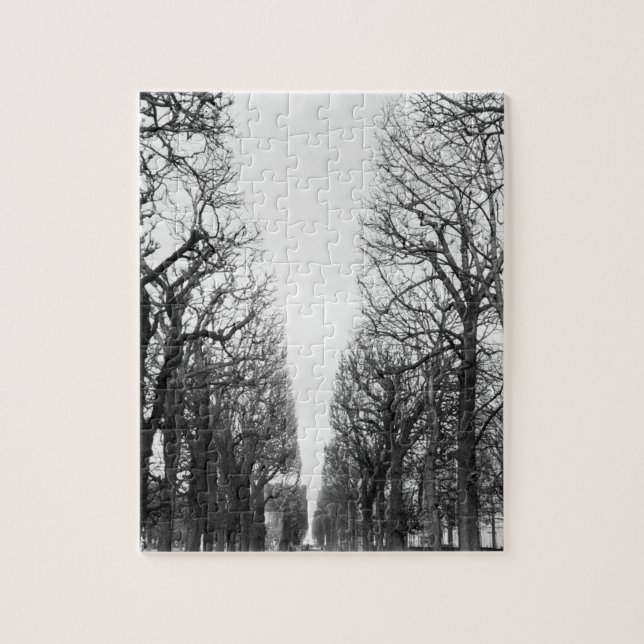 Europe, France, Paris. Winter trees, Marco Polo Jigsaw Puzzle (Vertical)