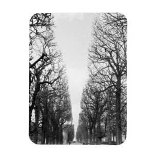 Europe, France, Paris. Winter trees, Marco Polo Magnet