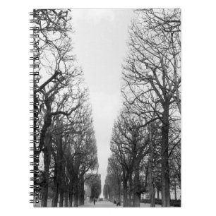 Europe, France, Paris. Winter trees, Marco Polo Notebook
