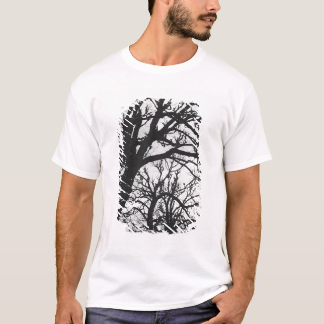 Europe, France, Paris. Winter trees, Marco T-Shirt (Front)
