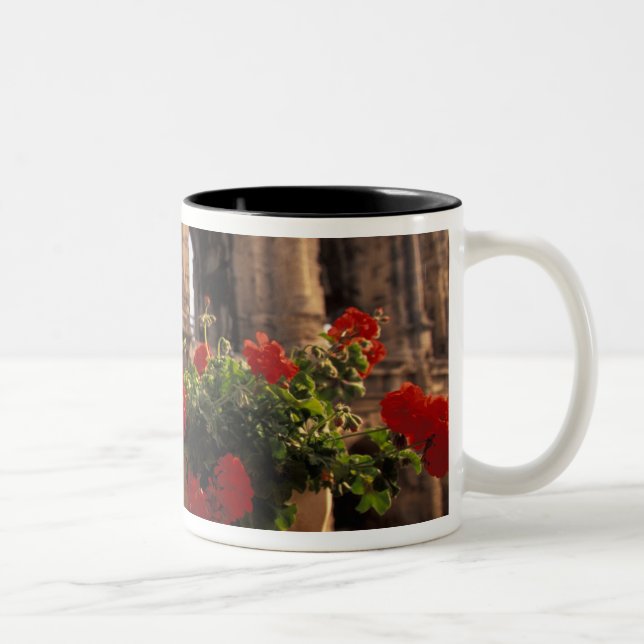 Europe, France, Provence, Arles, Bouches, du, Two-Tone Coffee Mug (Right)