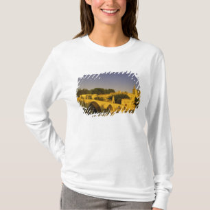 Europe, France, Provence, Avignon. Pont St, 2 T-Shirt