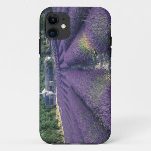 Europe, France, Provence. Lavander fields iPhone 11 Case