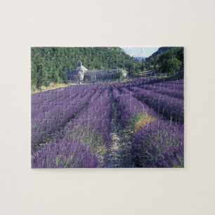 Europe, France, Provence. Lavander fields Jigsaw Puzzle