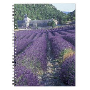 Europe, France, Provence. Lavander fields Notebook
