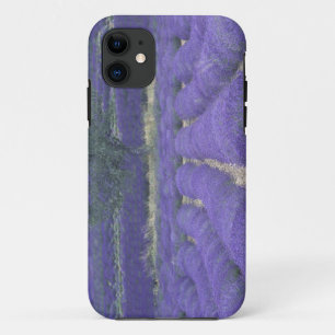 Europe, France, Provence, Sault, Lavender fields 2 iPhone 11 Case