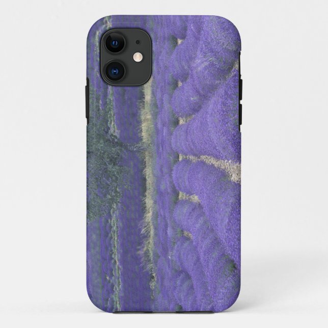 Europe, France, Provence, Sault, Lavender fields 2 Case-Mate iPhone Case (Back)