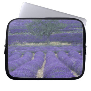 Europe, France, Provence, Sault, Lavender fields 2 Laptop Sleeve