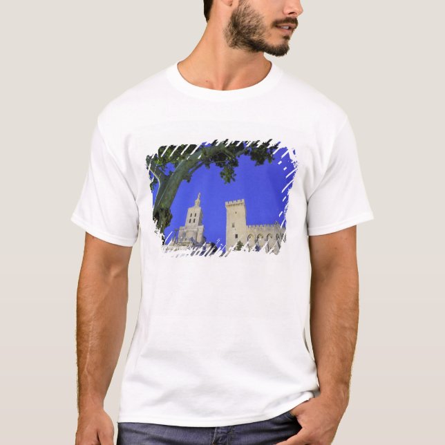 Europe, France, Provence, Vaucluse, Avignon. T-Shirt (Front)