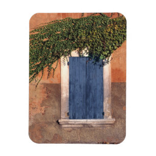Europe, France, Roussillon. Ivy covers the wall Magnet