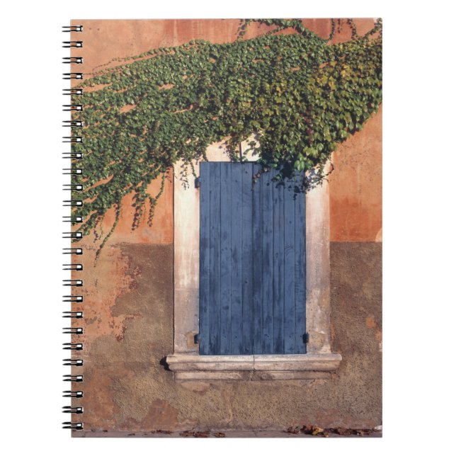 Europe, France, Roussillon. Ivy covers the wall Notebook (Front)