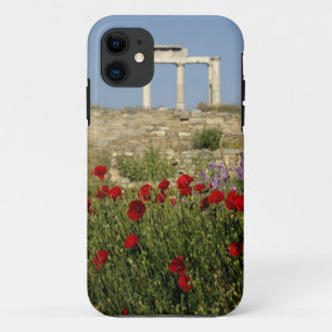 Europe, Greece, Cyclades, Delos. Column ruins. 2 iPhone 11 Case