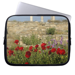 Europe, Greece, Cyclades, Delos. Column ruins. 2 Laptop Sleeve