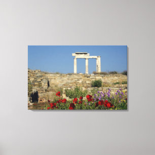 Europe, Greece, Cyclades, Delos. Column ruins. Canvas Print