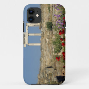 Europe, Greece, Cyclades, Delos. Column ruins. iPhone 11 Case